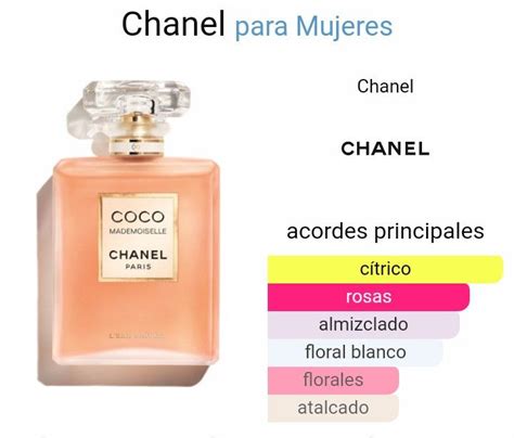 perfume coco chanel notas|coco de chanel para mujer.